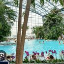 Day At Spa Therme Bucharest 's picture
