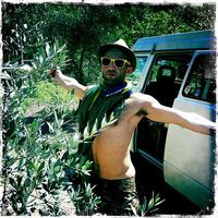 Tom Sabbadini's Photo