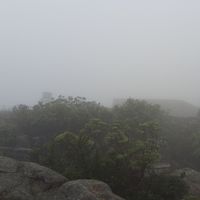 LittlePloy Soontharose's Photo