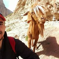 abdellah  yacoubi的照片