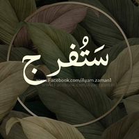 Mounir Mounir的照片