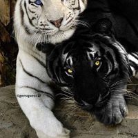 Photos de Adobe Eboda