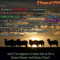 Malkyah Yozayah BatYah's Photo