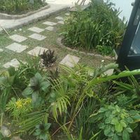 JACKLINE AND  ROBERT's Photo