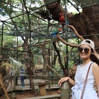 Irene Zhang的照片