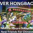 Chinese New Year @ Gardens by the Bay Walk 's picture