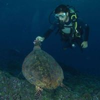 Juan Bueno Notivol的照片