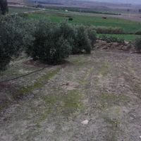 صادق ادم's Photo