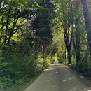 Riding A Bicycle In The Most Stunning Garden 's picture