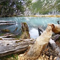 Fotos de Fernando  Torre