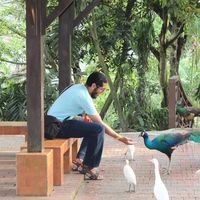 Abraham Abomeezo的照片