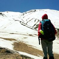 Shruti Agarwal's Photo