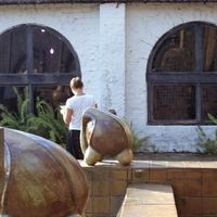 Virgínia Pedrosa's Photo