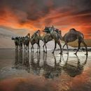 Blue Friday 🔵 的照片