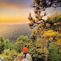 Cesar Soriano's Photo