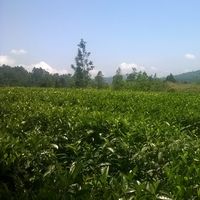 bhathiya Hettiarachchi's Photo