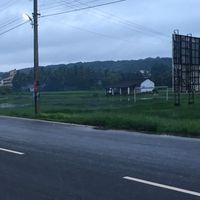 Jenifer Ayesha's Photo