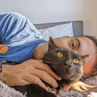 Ari Zare's Photo