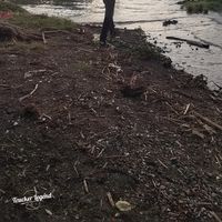 Philip  Liveha's Photo