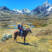 Nave Ben Dror的照片