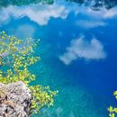 Photo de l'événement Chucumaltik Cenote