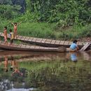 Weekend Trip to Sungai Utik, Indonesia's picture