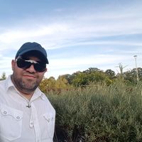 Farid Hosseini的照片