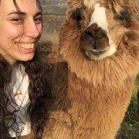 Ariana Llugdar's Photo