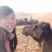 YINGYU CHEN的照片