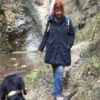 catherine strauss's Photo