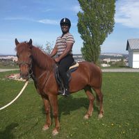 Le foto di anish rock