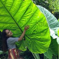 Caity Setter's Photo