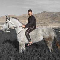 Zdjęcia użytkownika Oussama Bounif