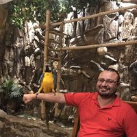 Mohamed Elginadi's Photo