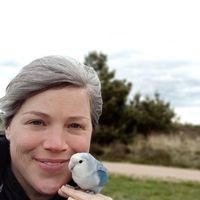 Anke  Vrijsen的照片