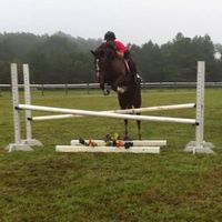 Mikki Fallow的照片