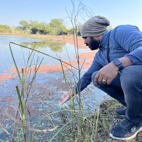 Abdulla Naseeh的照片