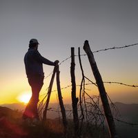 Majid Sahraee's Photo