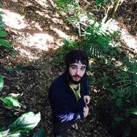 Jed Siebert的照片