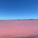 фотография Hutt Lagoon