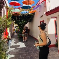 Lucia da Silva的照片