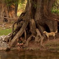 Jean Sanchz的照片