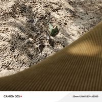 Lamin Nyabally's Photo