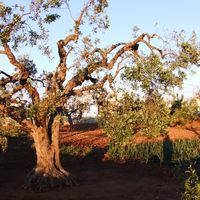 Photos de Luana Biasco