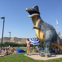 Agnieszka Wojdak-Buchar's Photo