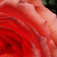 Docente Inglese's Photo