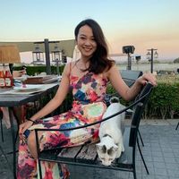 Photos de Hayley Huang