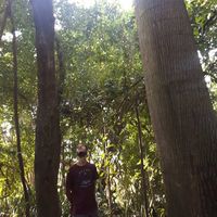 João Pedro Oliveira's Photo