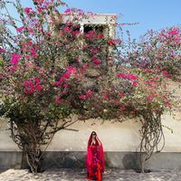 Atoosa  Ebrahimi的照片