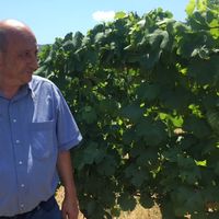 Pasquale Mitrano的照片